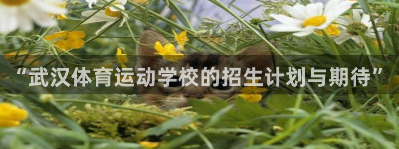 vsport体育官网下载招商电话地址:“武汉体育运动学校的招