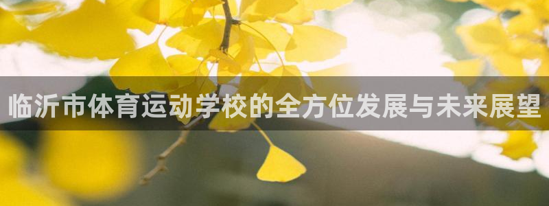 vsport体育官网下载平台注册要钱吗安全吗:临沂市体育运动