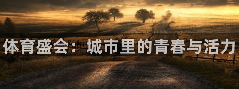 vsport体育官方正版app娱乐首页网站大全:体育盛会:城